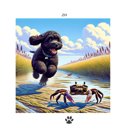 Marshland Mysteries with Serena and Licorice: Little Egg Harbor, New Jersey Marshlands